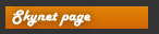 Skynet page