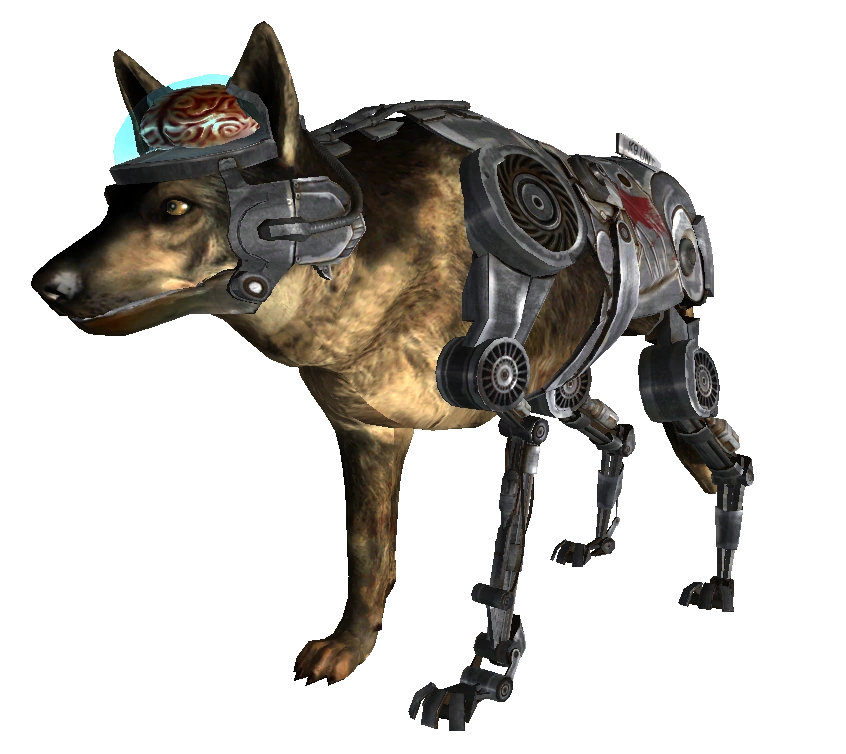 Rex