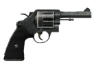 Police pistol