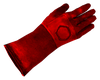 Sterilizer glove