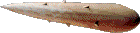 Plant Spike