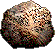 Rock